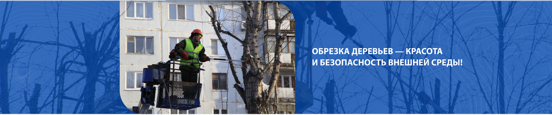 Обрезка деревьев