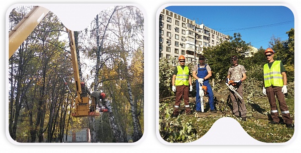 Обрезка и снос деревьев